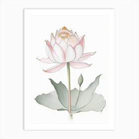 Double Lotus Pencil Illustration 1 Art Print