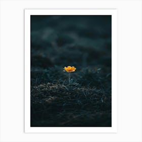 Single Yellow Flower 41 Art Print