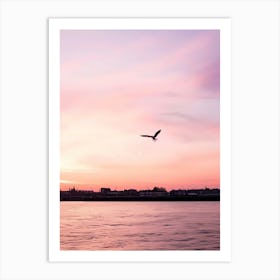 Seagull Flying Over The Water Art Print