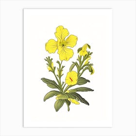 Sticky Monkeyflower Wildflower Vintage Botanical Art Print