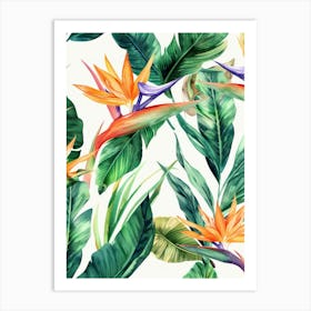 Bird Of Paradise 13 Art Print