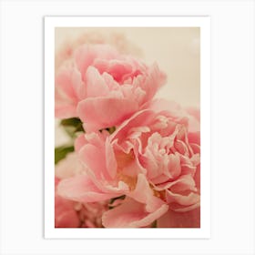 Two Pink Peonies Art Print