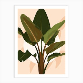 Banana Plant 5 Art Print