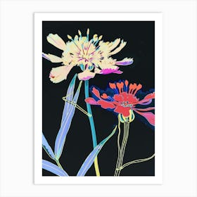 Neon Flowers On Black Scabiosa 1 Art Print