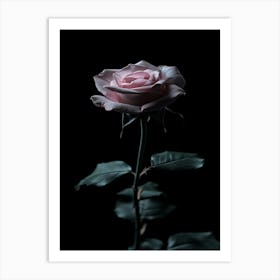 Rose On A Black Background 36 Art Print