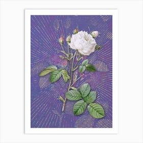 Vintage White Provence Rose Botanical Illustration on Veri Peri n.0540 Art Print