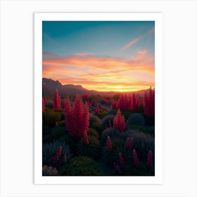 Sunset In The Desert 6 Art Print