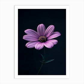 Purple Flower 3 Art Print