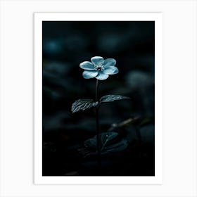 Dark Blue Flower 10 Art Print