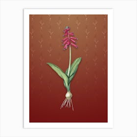 Vintage Lachenalia Pendula Botanical on Falu Red Pattern n.2574 Art Print