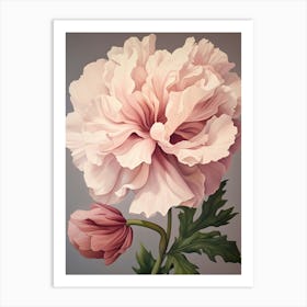 Floral Illustration Peony 4 Art Print