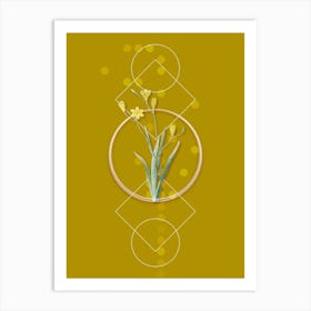 Vintage Ixia Bulbifera Botanical with Geometric Line Motif and Dot Pattern n.0386 Art Print