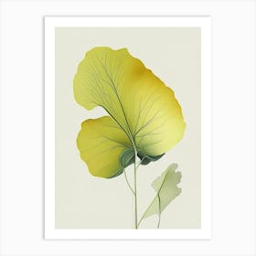 Ginkgo Herb Pencil Colour Art Print