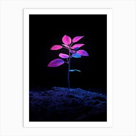 Plant In The Dark 9 Art Print