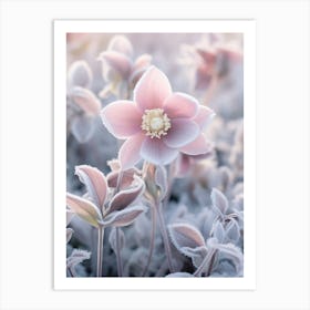 Frosty Botanical Lenten Rose 1 Art Print