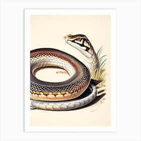 Monocled Cobra Snake Vintage Art Print