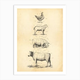 American Butcher Charts Cow Lamb Poultry Pork Art Print