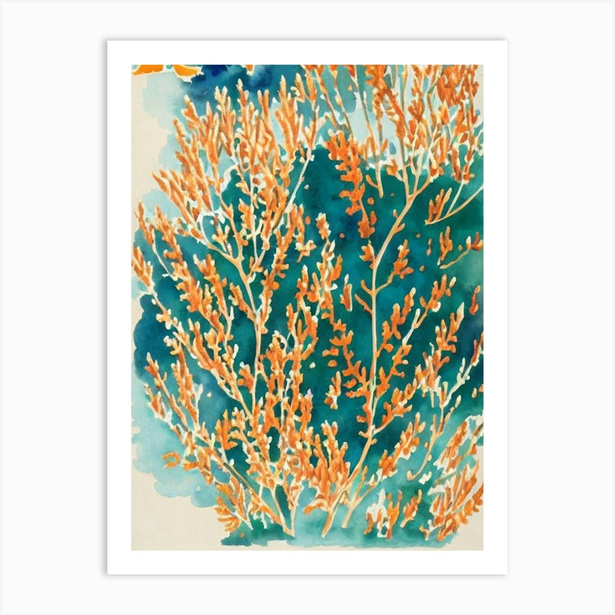 Acropora Millepora Ssp Capricornis Vintage Graphic Watercolour Art Print by Reef Reflections
