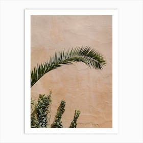 Palm Tree against A beige Wall in Fes, Morocco | Colorful travel photography Art Print