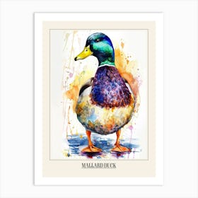 Mallard Duck Colourful Watercolour 1 Poster Art Print