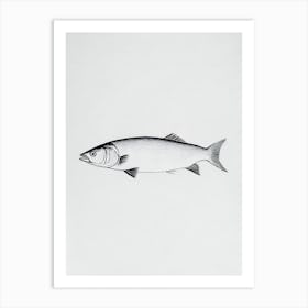 Mackerel Black & White Drawing Art Print