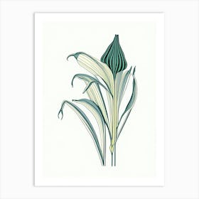 Hosta Floral Minimal Line Drawing 3 Flower Art Print