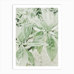 Green Leaves In The Sand Art Print