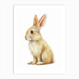 Chinchilla Rabbit Kids Illustration 4 Art Print