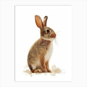 Britannia Petite Rabbit Nursery Illustration 2 Art Print