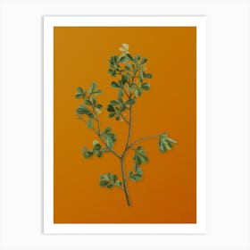 Vintage European Buckthorn Botanical on Sunset Orange n.0103 Art Print