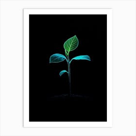 Plant Growing In The Dark 24 Art Print