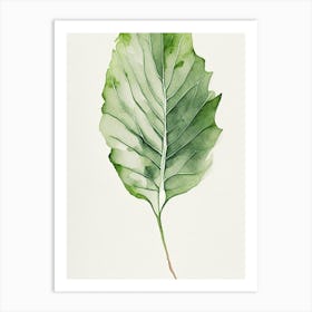 Wild Lettuce Leaf Minimalist Watercolour 4 Art Print