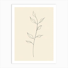 Line Drawing Of A Leaf 1 Art Print