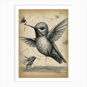 Hummingbird And Spider Art Print