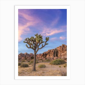 Joshua Tree Evening Atmosphere Art Print