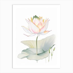 Lotus Flower In Garden Pencil Illustration 4 Art Print