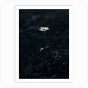 Single Daisy 7 Art Print