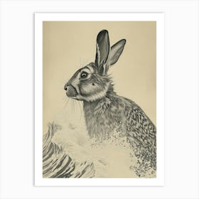 Jersey Wooly Rabbit Drawing 2 Art Print