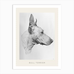 Bull Terrier Dog Line Sketch 2 Poster Art Print