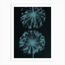 Teal black allium 2 Art Print