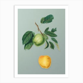 Vintage Apple Botanical Art on Mint Green n.0562 Art Print