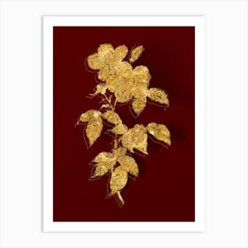 Vintage Tea Scented Roses Bloom Botanical in Gold on Red n.0210 Art Print