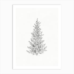 Spruce Tree Sketch Art Print