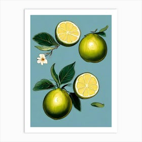 Limes And Lemons Art Print