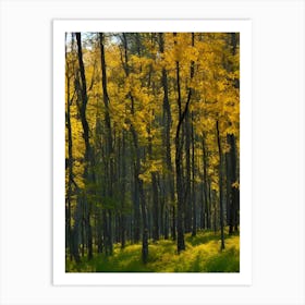 Autumn Trees In A Forest Art Print