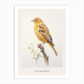 Vintage Bird Drawing Yellowhammer 1 Poster Art Print
