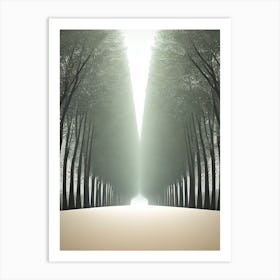 Path Through The Trees Art Print