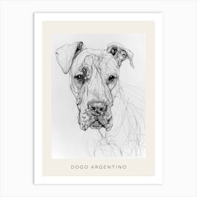 Dogo Argentino Dog Line Sketch 3 Poster Art Print