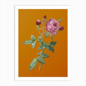 Vintage Provence Rose Botanical on Sunset Orange n.0377 Art Print