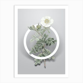 Vintage Macartney Rose Minimalist Flower Geometric Circle on Soft Gray n.0111 Art Print